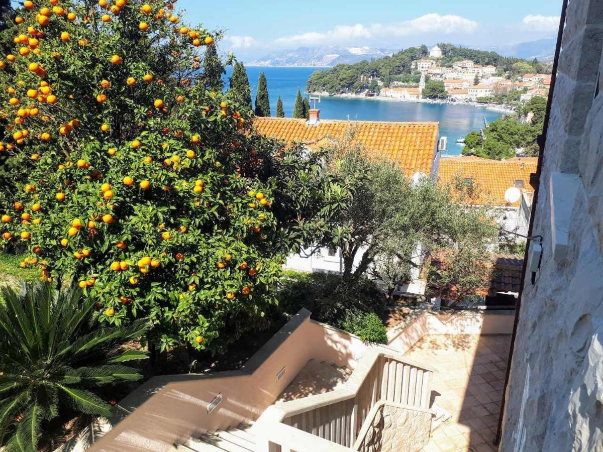 City Apartments Bobic Cavtat Exteriör bild